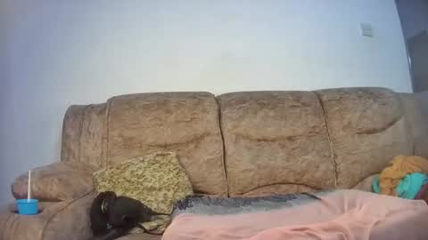 Snapshot of elsie02 chatting on 11/18/25, 06:56 elsie02 online show from 11/18/25, 06:56