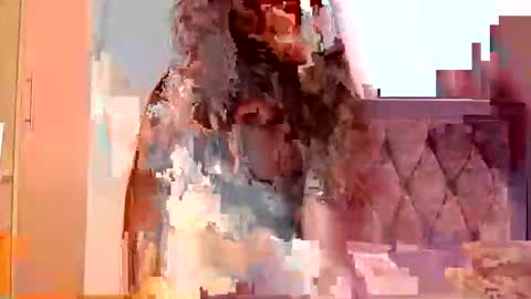 Elysey online show from 09/24/25, 06:39