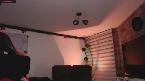 ema_ploxx online show from 01/13/25, 04:18