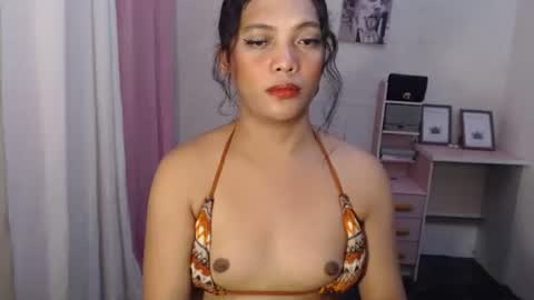 Venice online show from 02/21/26, 05:47