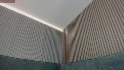 Snapshot of emelie_89 chatting on 01/07/26, 11:34 emelie_89 online show from 01/07/26, 11:34