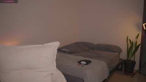 ana online show from 11/24/25, 10:53