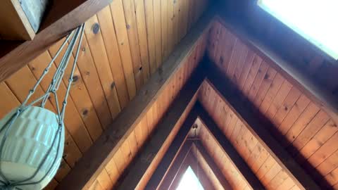 popalottapuss - puddin tits - daddy - buttercup - bonfire - Mrs. Fuck Yea - hibeams - honey buns - online show from 04/13/26, 06:35