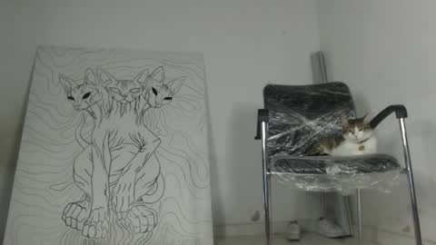 Antonella  online show from 03/17/26, 02:27