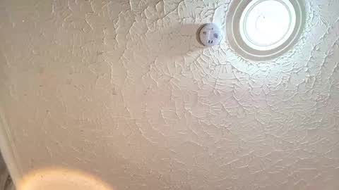 Emiily Carter online show from 09/29/25, 08:24