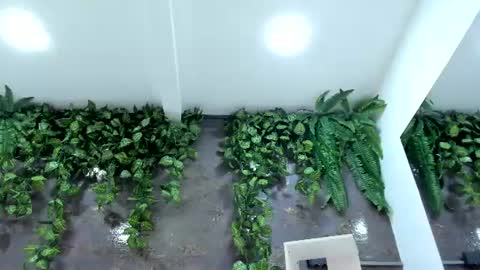 Emily online show from 07/28/26, 12:48