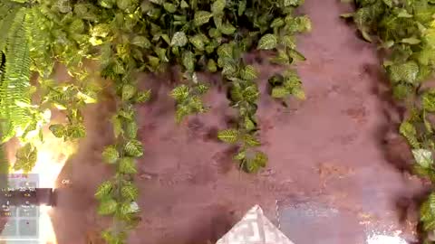 Emily online show from 07/28/26, 04:27