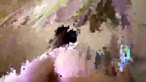 Emily online show from 09/26/25, 08:13