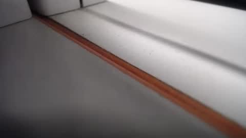 Snapshot of emily_hott1 chatting on 02/24/25, 10:37 emily hoot1 online show from 02/24/25, 10:37