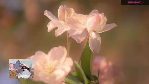 Snapshot of emily_hott1 chatting on 11/20/25, 09:42 emily hoot1 online show from 11/20/25, 09:42