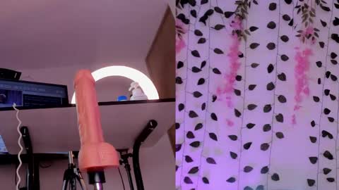 Emily online show from 01/26/25, 10:24