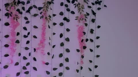 Emily online show from 01/30/25, 02:38