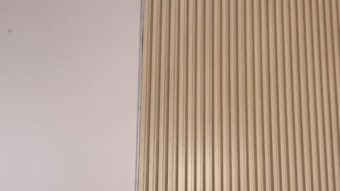 Emily online show from 04/03/26, 12:25