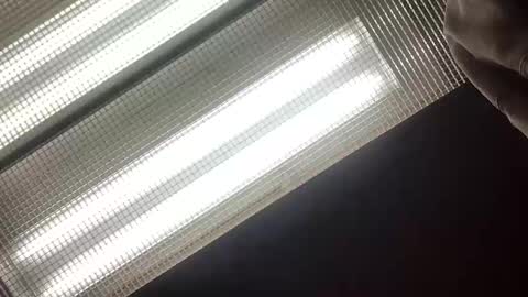 emilyclear online show from 05/14/26, 08:21