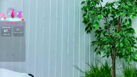 Emily online show from 01/14/26, 07:52