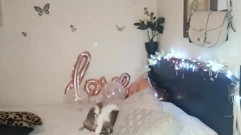 Snapshot of emilywhitee_ chatting on 11/25/25, 02:33 Valentina independent model online show from 11/25/25, 02:33