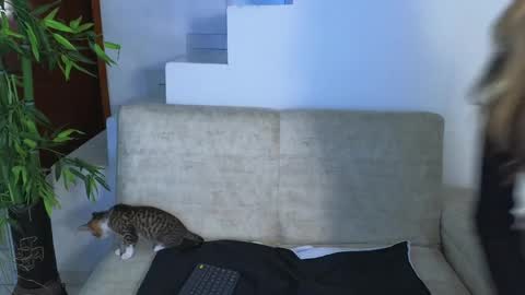 Emma Blue  modelo independiente online show from 10/28/25, 04:05