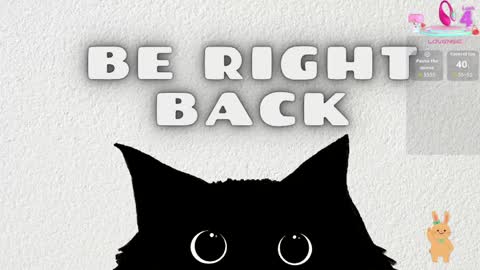   online show from 04/14/26, 11:38