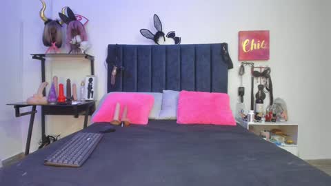          online show from 01/06/25, 05:16