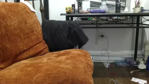 empusalamia online show from 01/18/25, 11:22