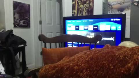 empusalamia online show from 01/25/25, 09:57