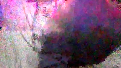 Batman online show from 01/18/25, 02:33