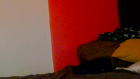 Nikki Erotica online show from 02/20/26, 10:16