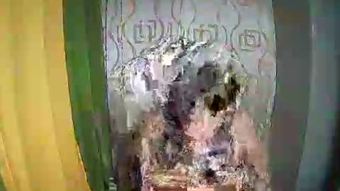 Snapshot of ervanamorge chatting on 02/11/26, 05:07 Ervana online show from 02/11/26, 05:07