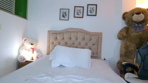 Snapshot of estebanperez_ chatting on 07/01/26, 11:23 Esteban online show from 07/01/26, 11:23