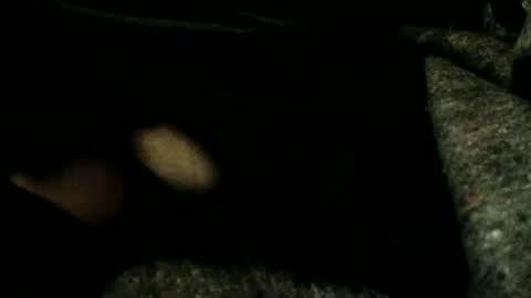 Snapshot of estelarseiya chatting on 01/04/25, 03:18 estelarseiya online show from 01/04/25, 03:18