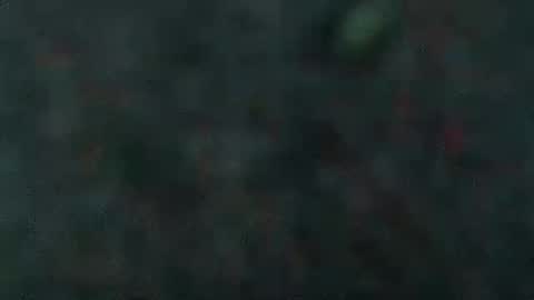 Snapshot of estelarseiya chatting on 02/05/25, 07:07 estelarseiya online show from 02/05/25, 07:07