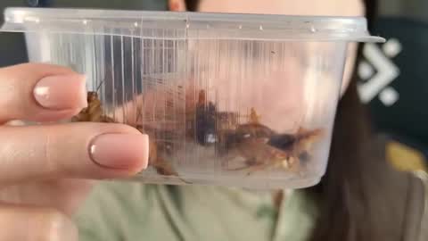 kelt0901 - my channel in telegra online show from 02/21/26, 02:07