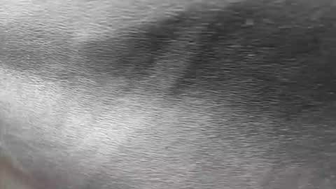 greetings  sergi  online show from 11/30/25, 06:56