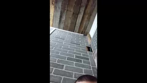 ethanfish600 online show from 03/03/26, 07:25