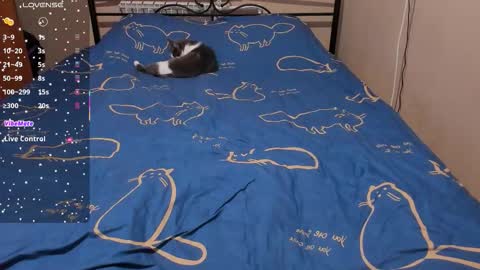 Eva online show from 02/08/26, 02:09