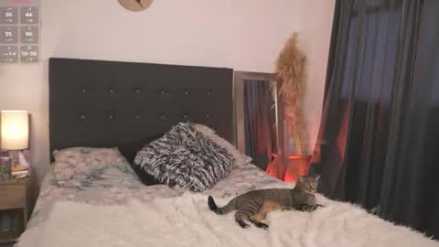 evajacksss_ online show from 02/12/26, 09:21