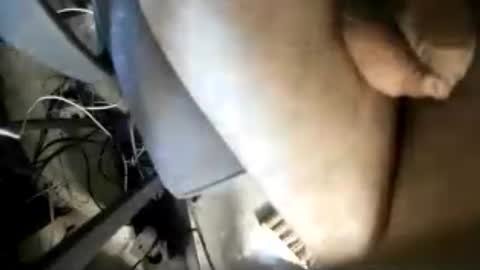 eveline_figeroa3 online show from 06/20/26, 02:20