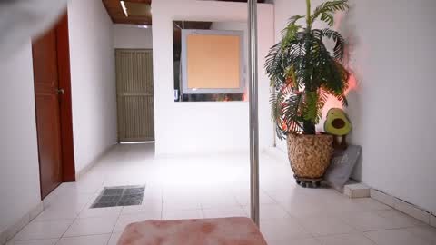 evelyn evelyn online show from 04/03/26, 07:01