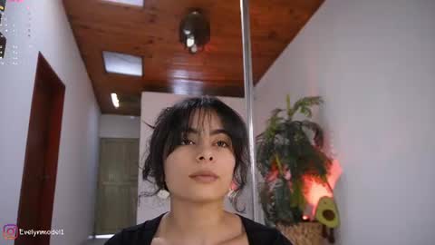 Snapshot of evelyn_evelyn chatting on 06/11/26, 04:16 evelyn evelyn online show from 06/11/26, 04:16