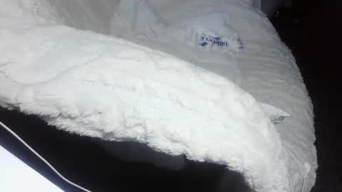 Snapshot of everlasthu chatting on 02/09/25, 01:44 everlasthu online show from 02/09/25, 01:44