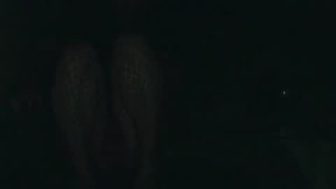 Snapshot of evermore8807 chatting on 12/14/25, 04:07 evermore8807 online show from 12/14/25, 04:07