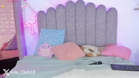 My name is Evie  nice to meet you  really get to know me better private is open  online show from 04/28/26, 11:21
