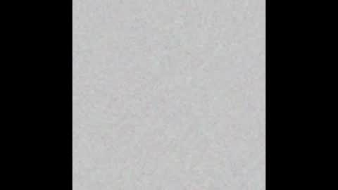 David online show from 03/13/26, 08:15