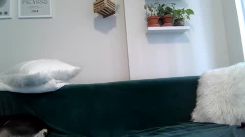 Badblondebunny online show from 09/22/25, 08:55