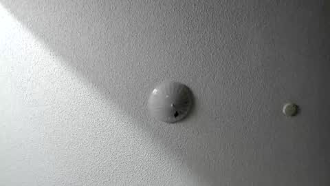 EV Parrish online show from 01/20/25, 06:42