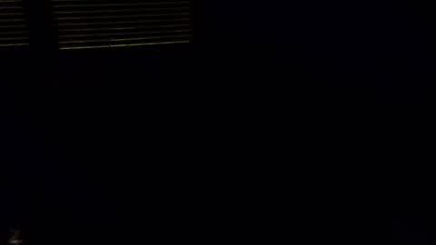 exhibitman69_ldb online show from 10/30/25, 05:09