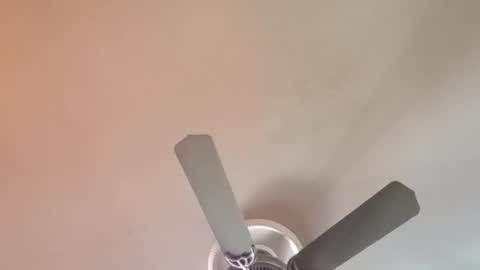 Exoticlexxii online show from 04/06/26, 01:01