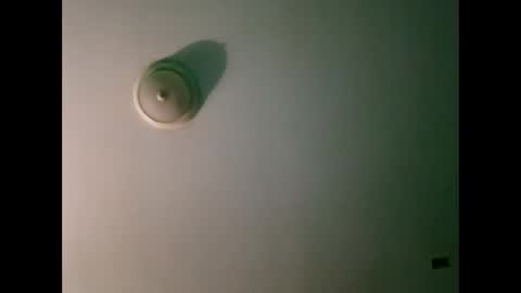 experttreecompany online show from 03/21/26, 10:31