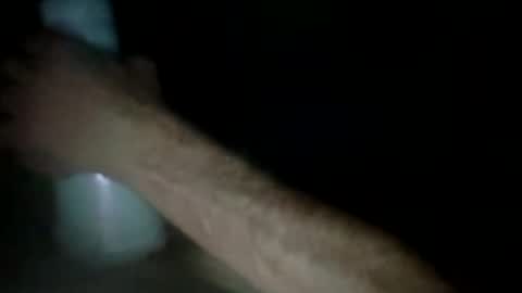 experttreecompany online show from 03/24/26, 12:32