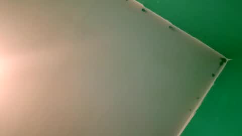 experttreecompany online show from 04/12/26, 10:26